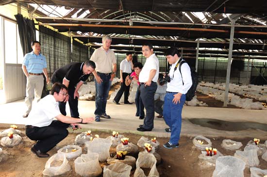 圖片關(guān)鍵詞 圖片關(guān)鍵詞