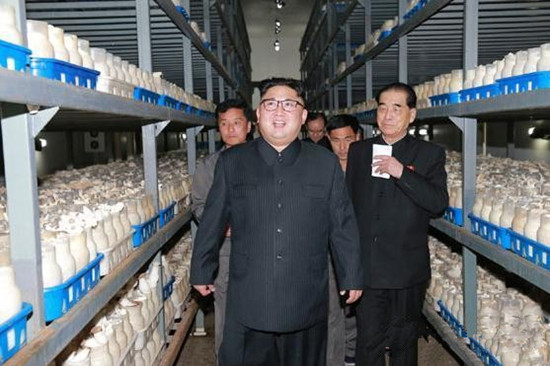 圖片關鍵詞 圖片關鍵詞