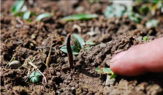 圖片關鍵詞 http://m.kswm.cn/ewebeditor/uploadfile/20180814102741148001.png