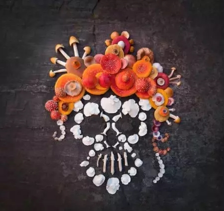 圖片關(guān)鍵詞 圖片關(guān)鍵詞