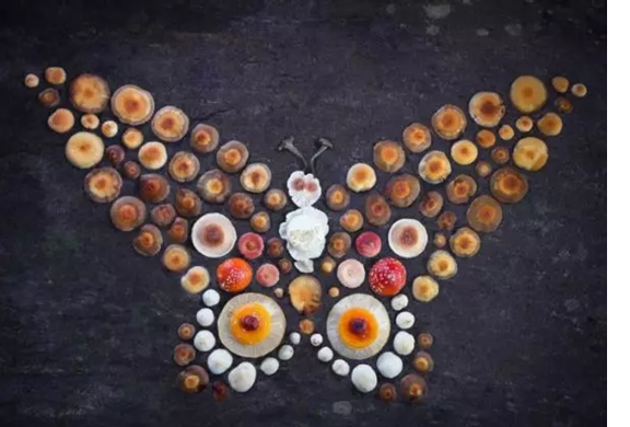 圖片關(guān)鍵詞 圖片關(guān)鍵詞