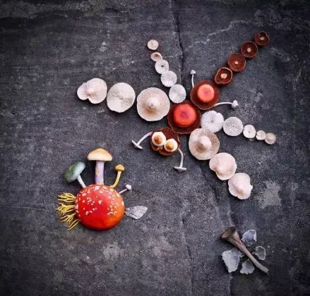 圖片關(guān)鍵詞 圖片關(guān)鍵詞