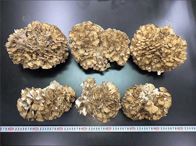 圖片關(guān)鍵詞 圖片