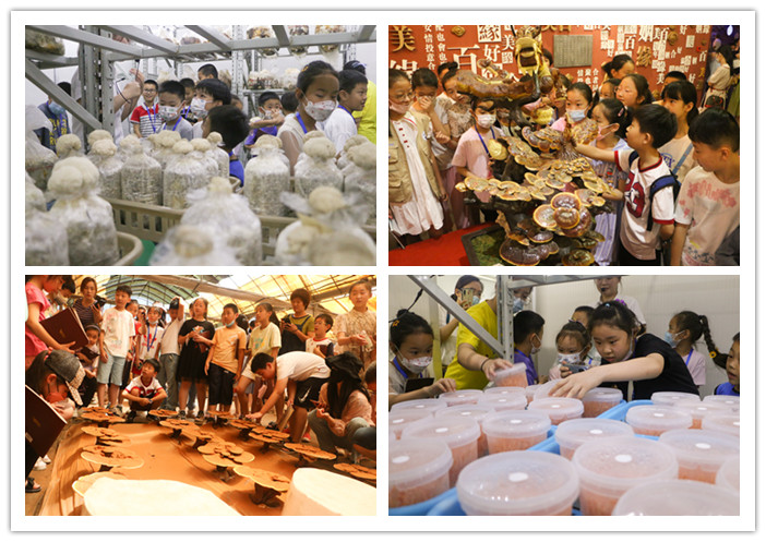 圖片關鍵詞 圖片關鍵詞