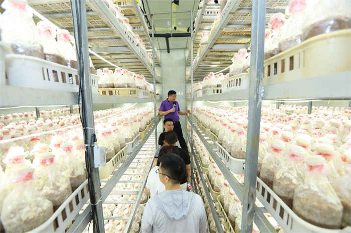 圖片關鍵詞 圖片關鍵詞