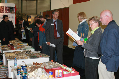 圖片關鍵詞 圖片關鍵詞