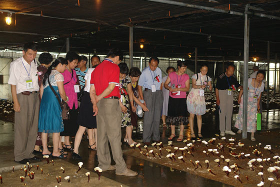 圖片關鍵詞 圖片關鍵詞