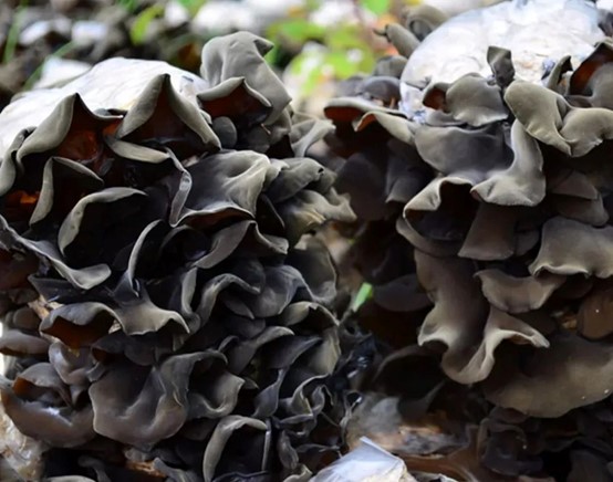 圖片關(guān)鍵詞 圖片關(guān)鍵詞