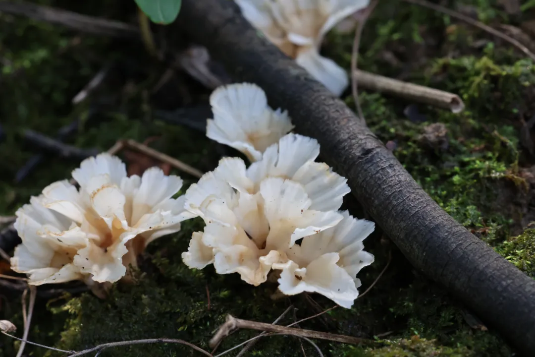 圖片關(guān)鍵詞 圖片關(guān)鍵詞