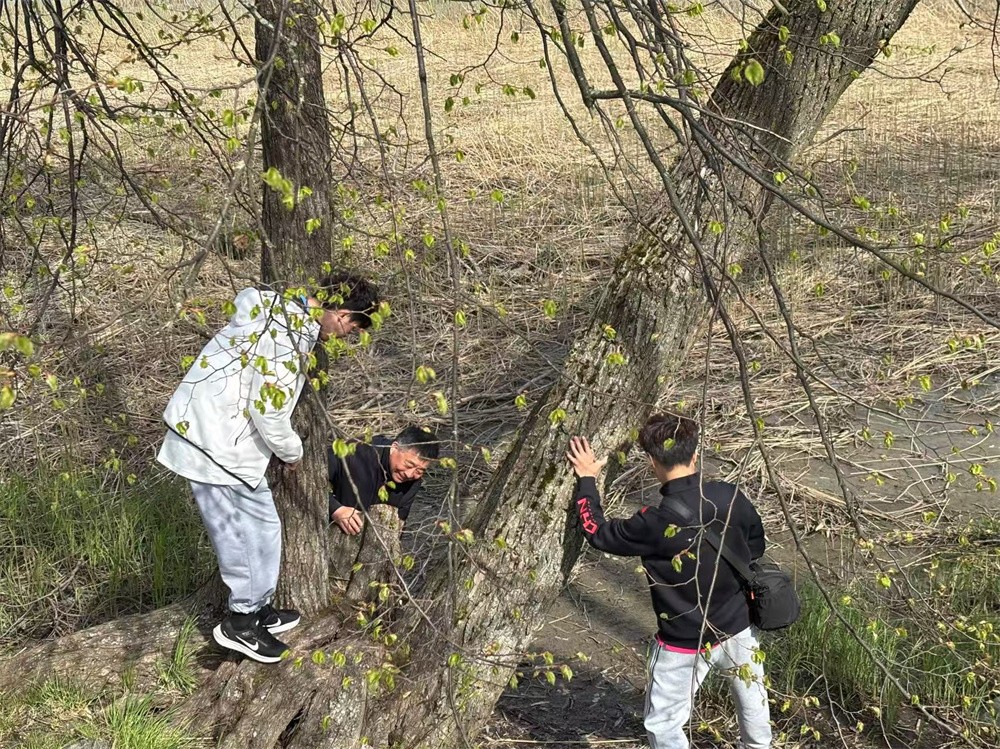 圖片關(guān)鍵詞