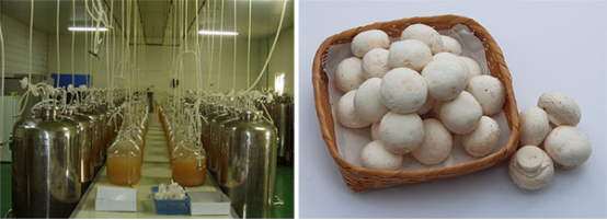 圖片關鍵詞 圖片關鍵詞