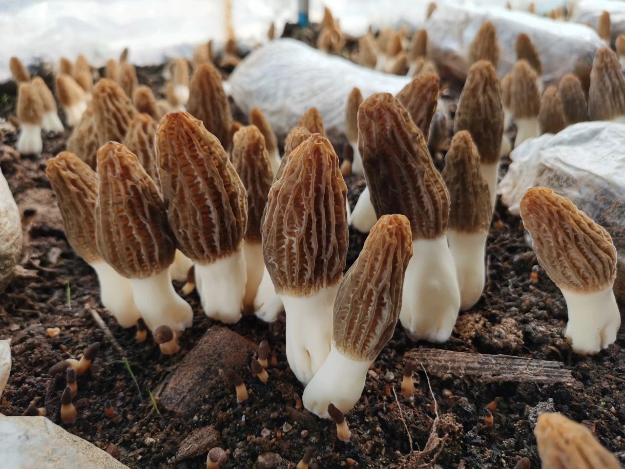 圖片關鍵詞 圖片關鍵詞