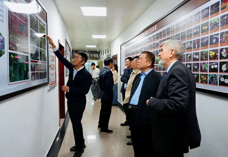 圖片關鍵詞 圖片關鍵詞